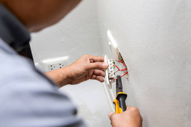 Best Electric Panel Repair  in Avimor, ID